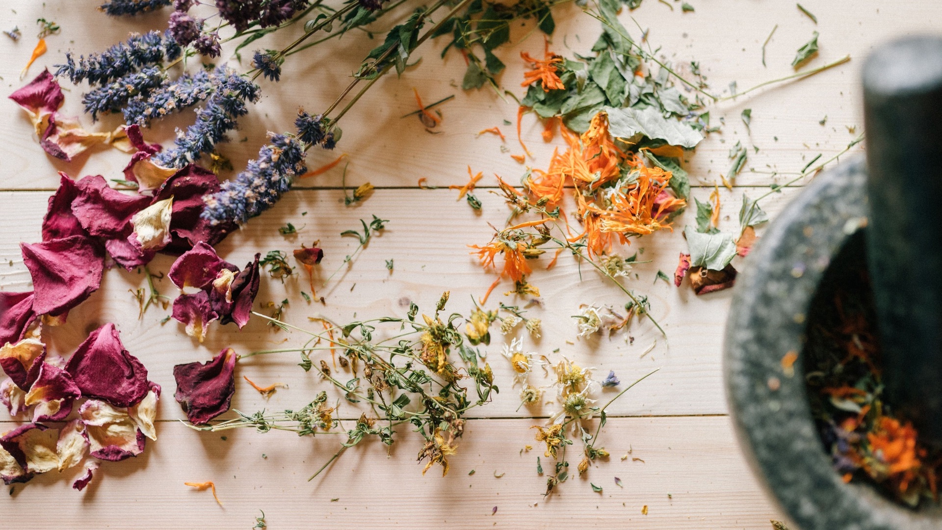 Ashwagandha herb — natural cortisol reducer for stress and sleep
