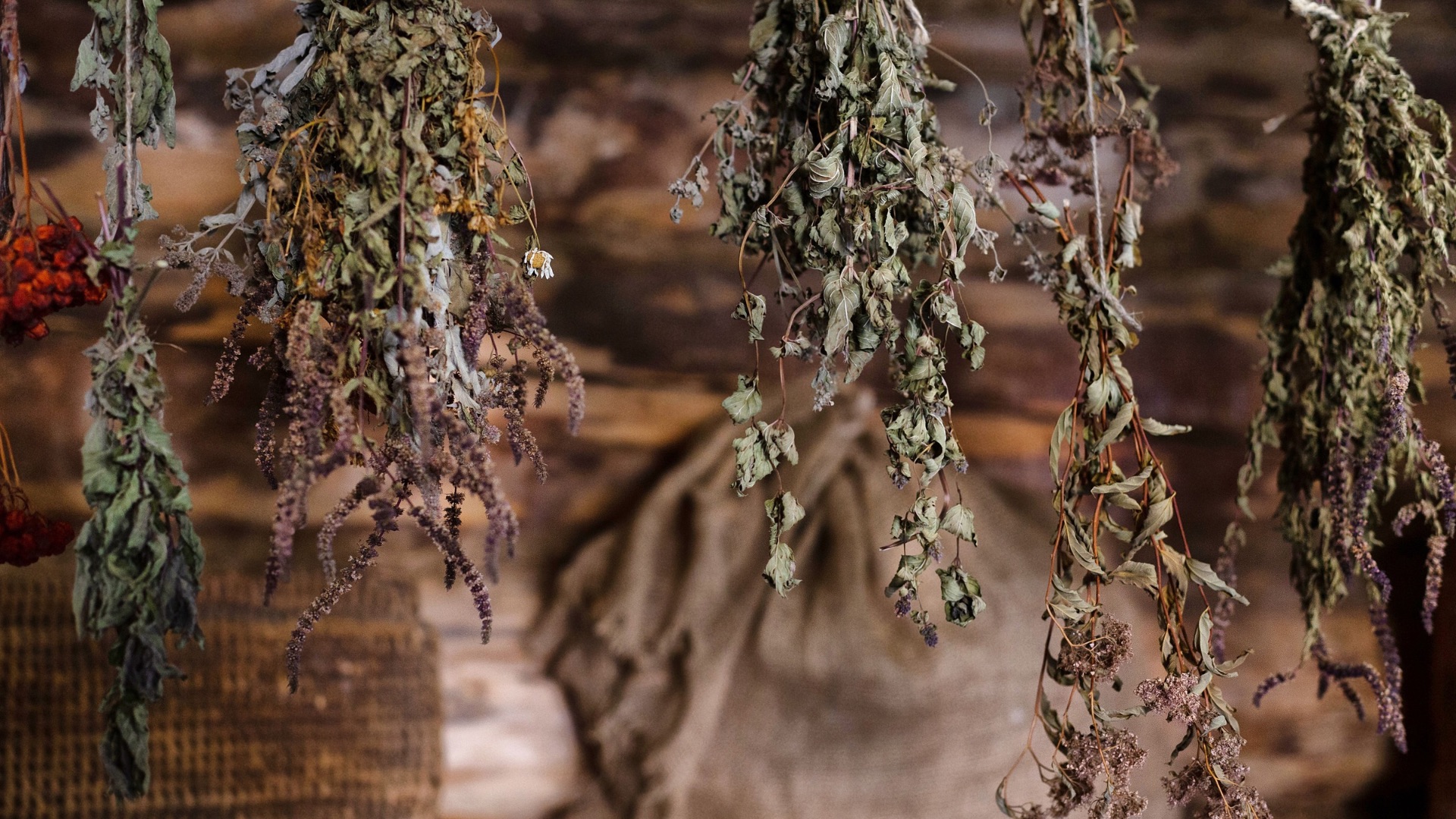 medicinal garden herbs harvested and dried at home